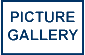 PICTURE GALLERY